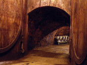 Prehliadka historickej pivnice, ochutnávka a predaj vína


